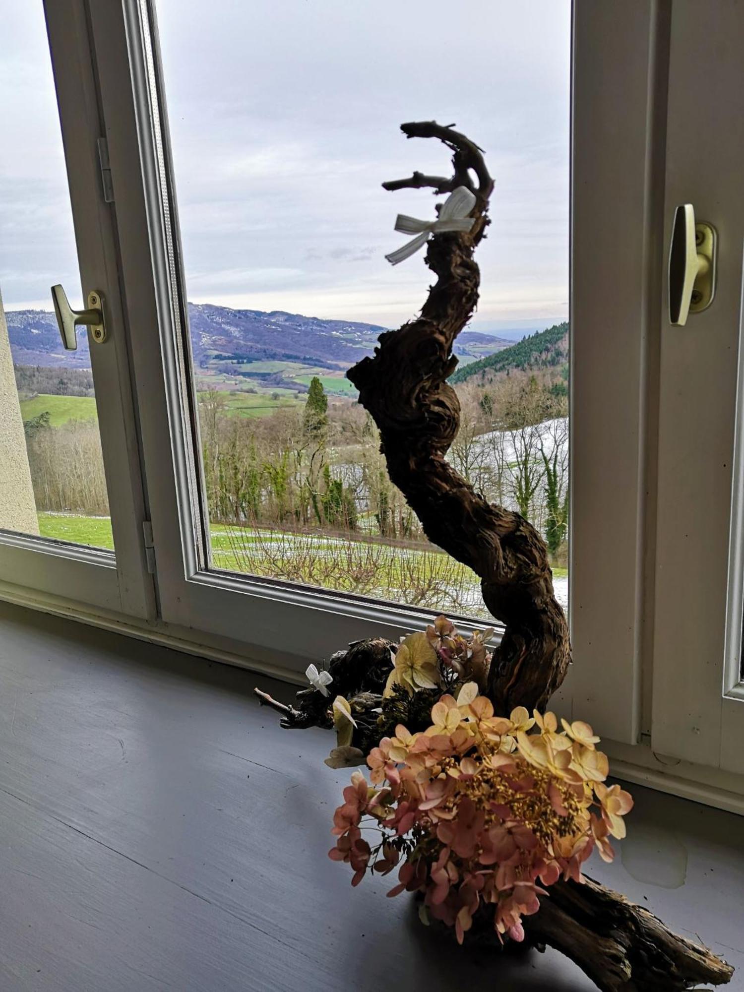 Gite Du Hameau D'Amignie Vernay Exteriör bild